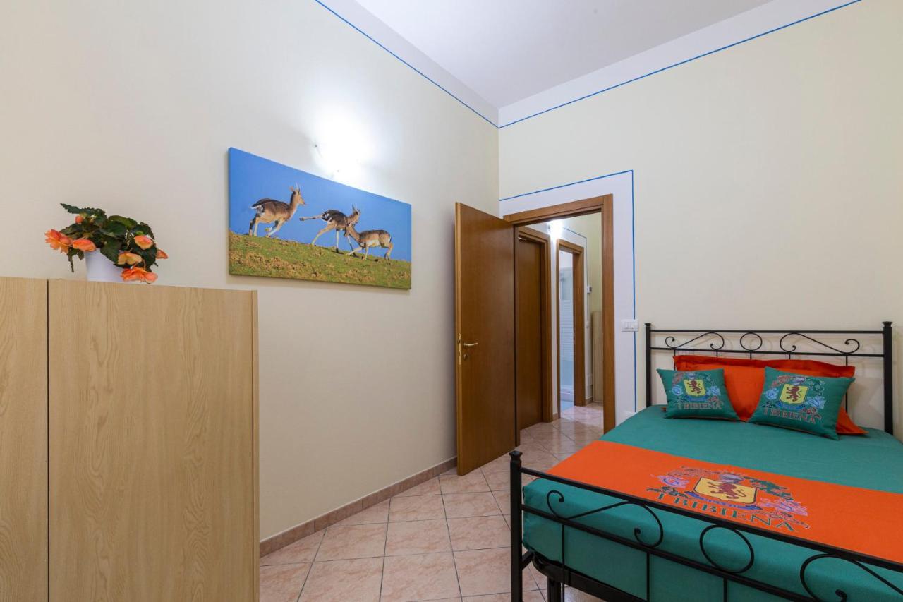Holiday home Ibibiena - Casa Camaldoli *